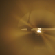 Illustration for article titled Shooting Challenge: Bokeh, Gallery 1